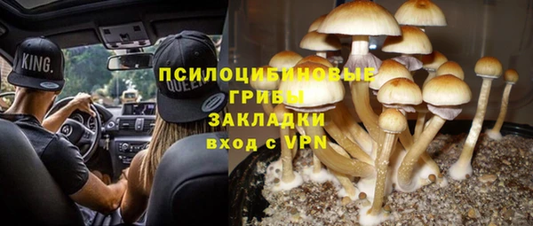 тгк Братск