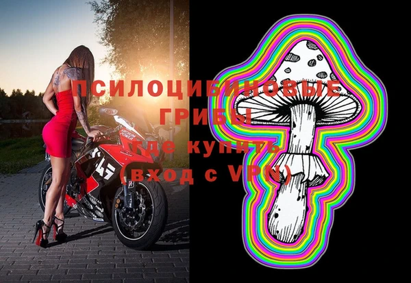 тгк Братск