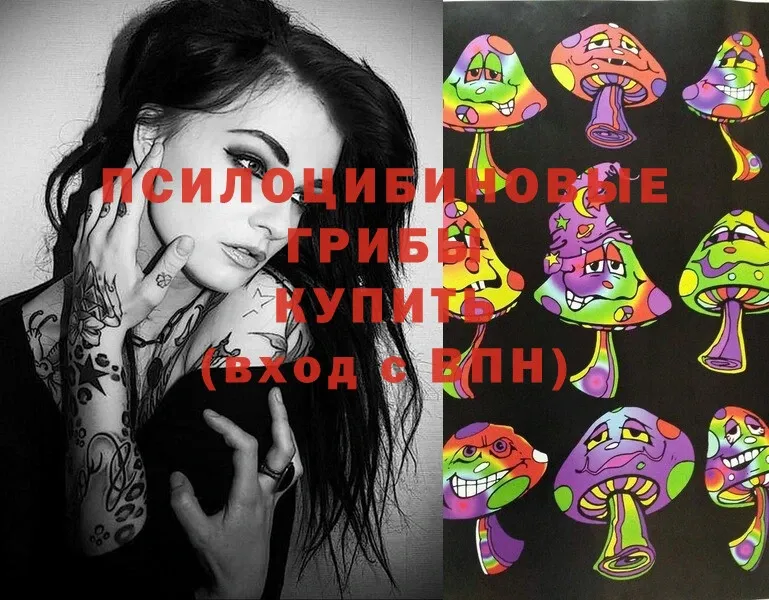 Галлюциногенные грибы Magic Shrooms  Армянск 