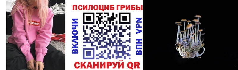 наркота  Армянск  Псилоцибиновые грибы Magic Shrooms 